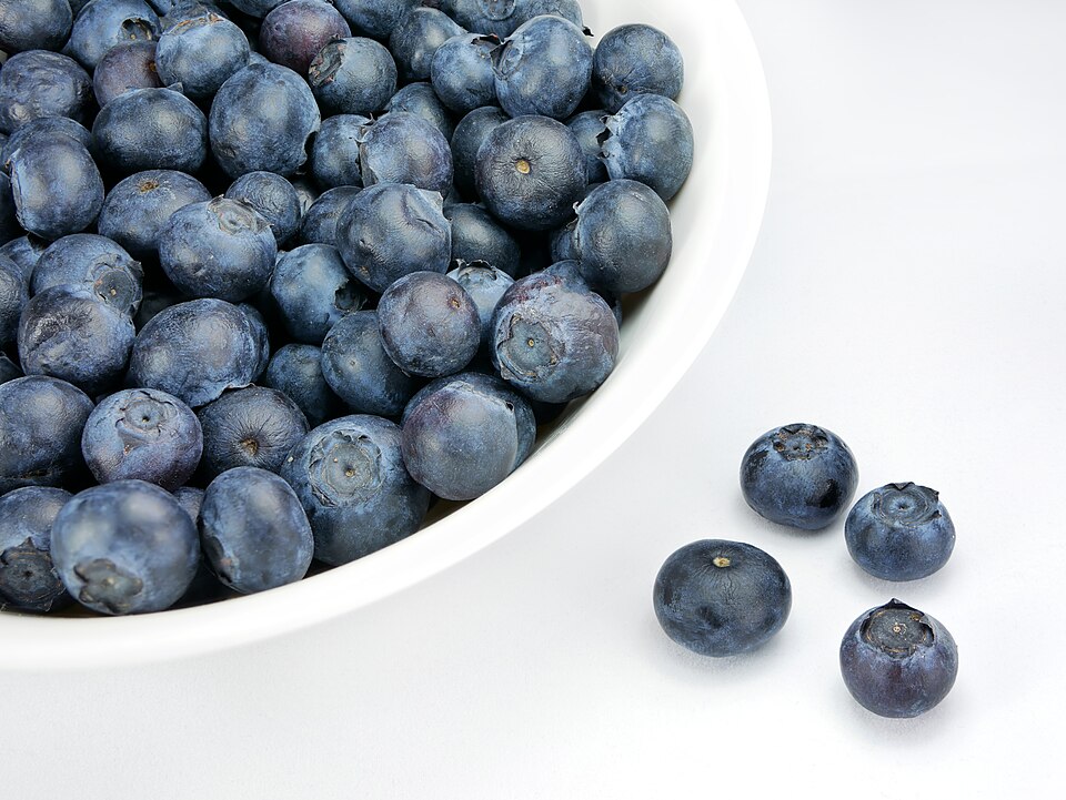 Blueberry Burst