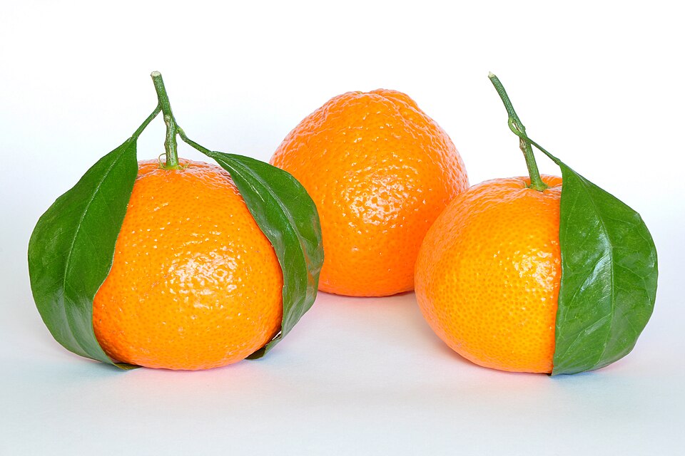 Imperial Mandarin